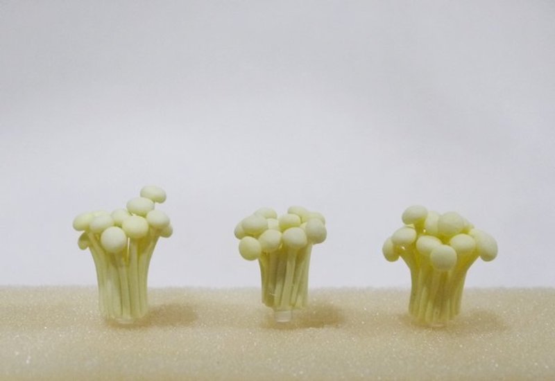 +防尘塞+金针菇 - 其他 - 其他材质 白色