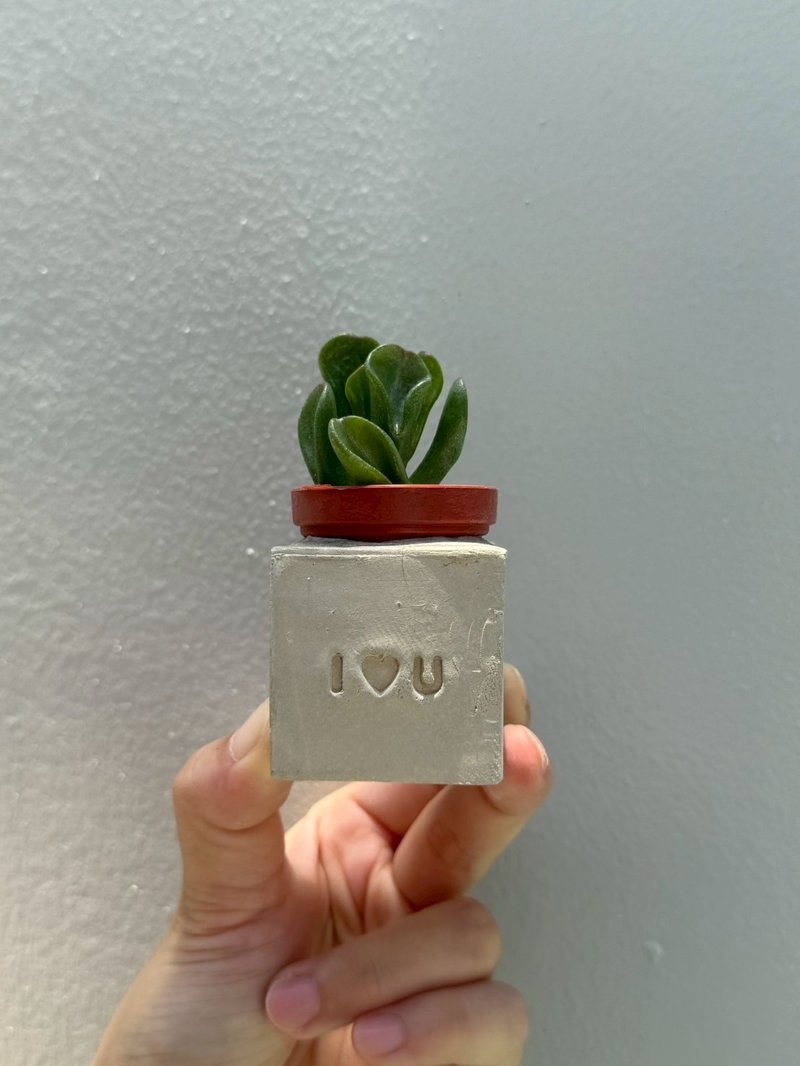 I Love U~!(爱心款) 多肉磁铁盆栽 - 植栽/盆栽 - 水泥 灰色