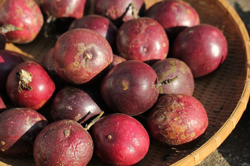 Ｂ级甜密蜜-百香果 / 15斤 - 其他 - 新鲜食材 红色