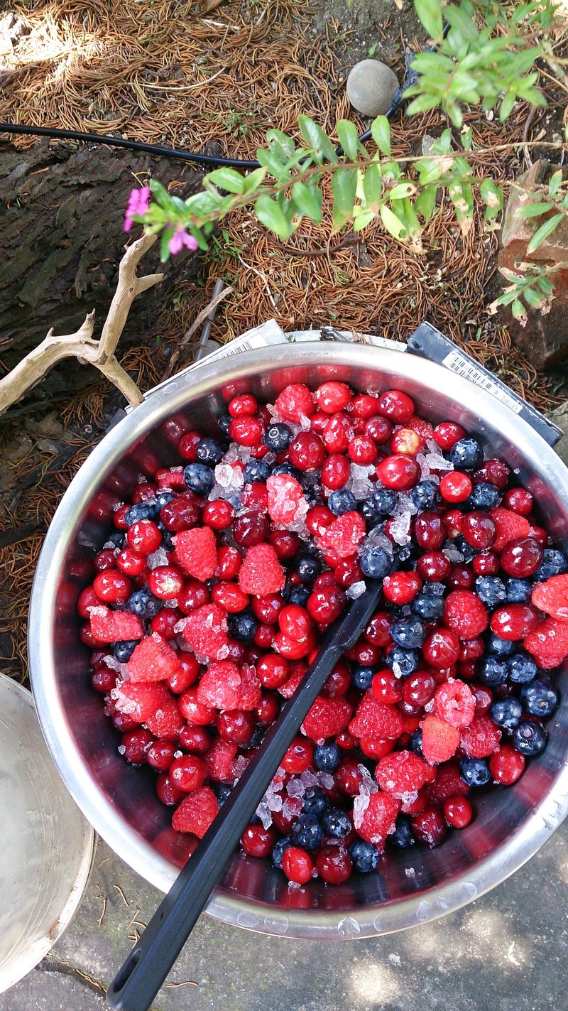 小幸福手工果酱/小莓果果酿/★,:*:·(￣▽￣)/·:*·°★*圣诞小甜心/果酱买2(大)送1(小)喔！ - 果酱/抹酱 - 植物．花 紫色