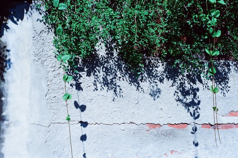 我们的艺术惊喜实验::每月五号推出.你的我的惊喜小礼物::surprise for us - 其他 - 其他材质 多色