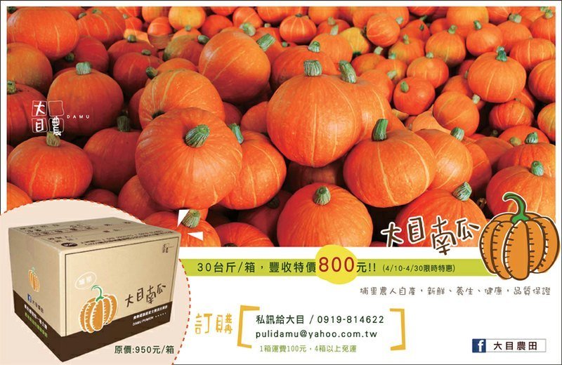大目农田-东升南瓜，埔里山区果农自产，新鲜健康 - 其他 - 植物．花 橘色