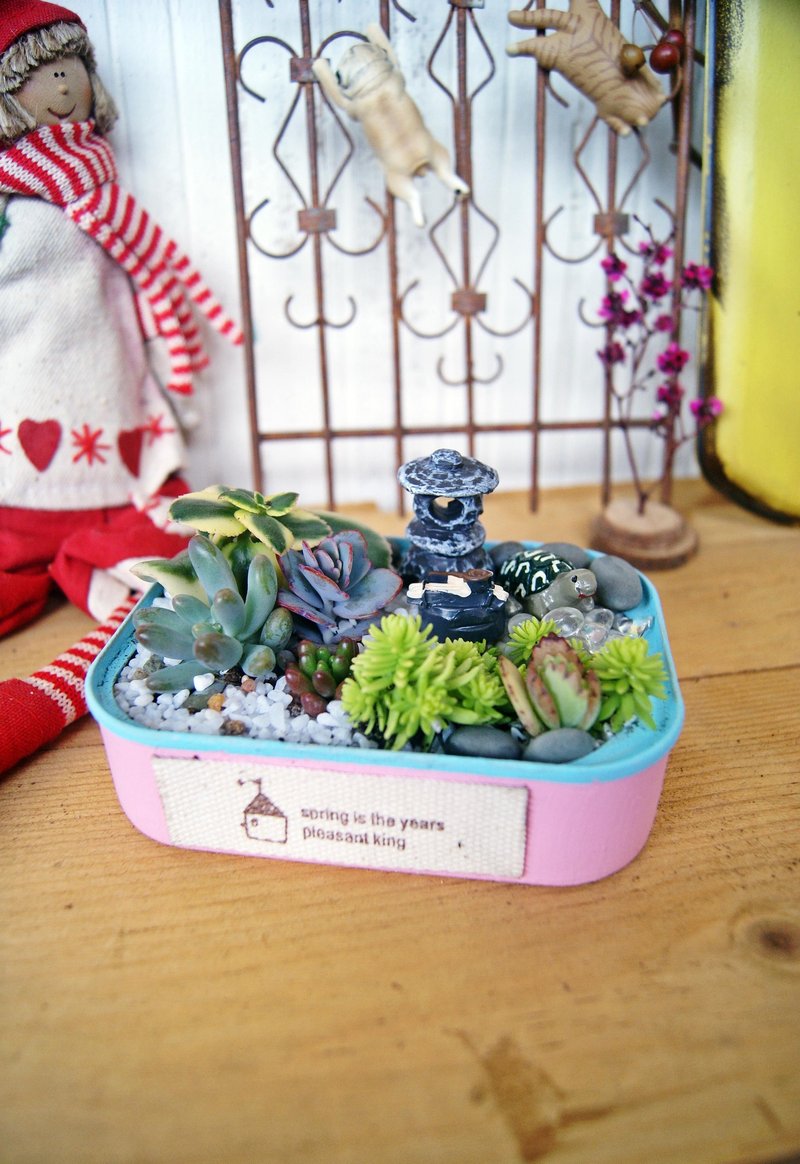 我家有小小农场X创意环保方型罐头植栽(青娃组) - 植栽/盆栽 - 植物．花 