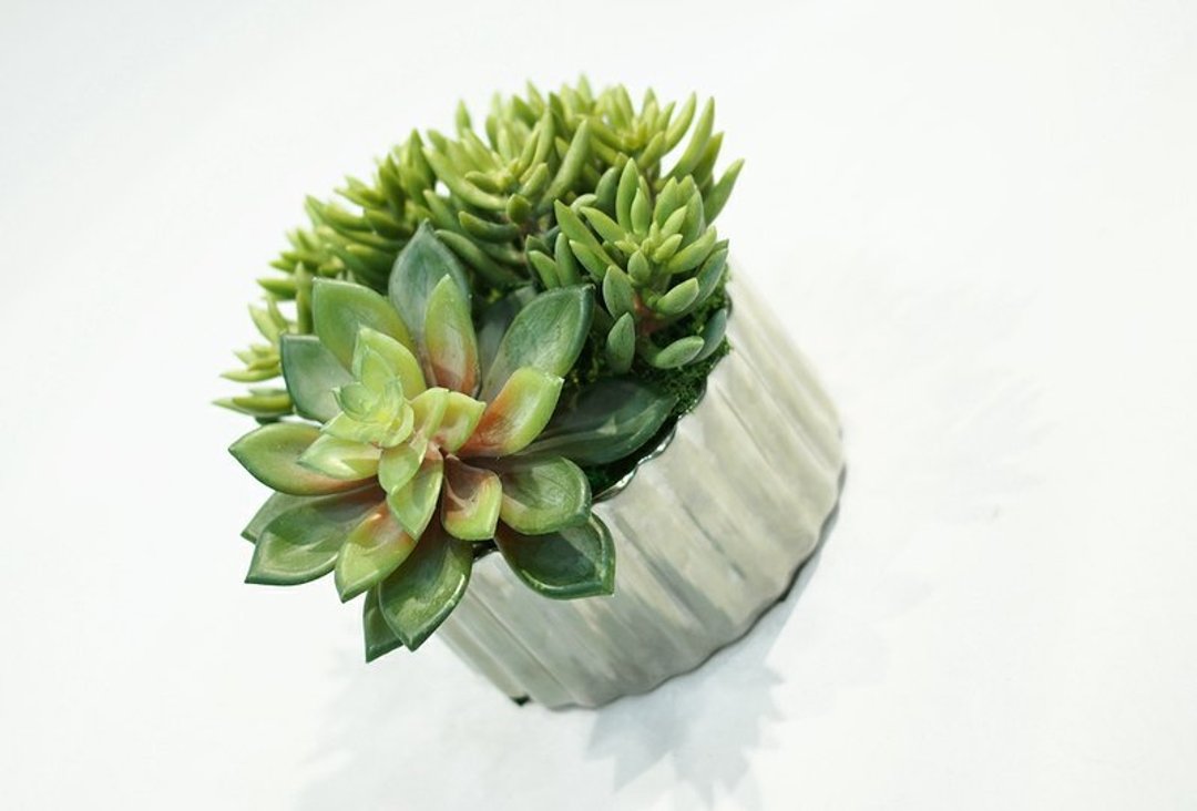 【人造花艺】石莲小品 - 植栽/盆栽 - 其他材质 绿色