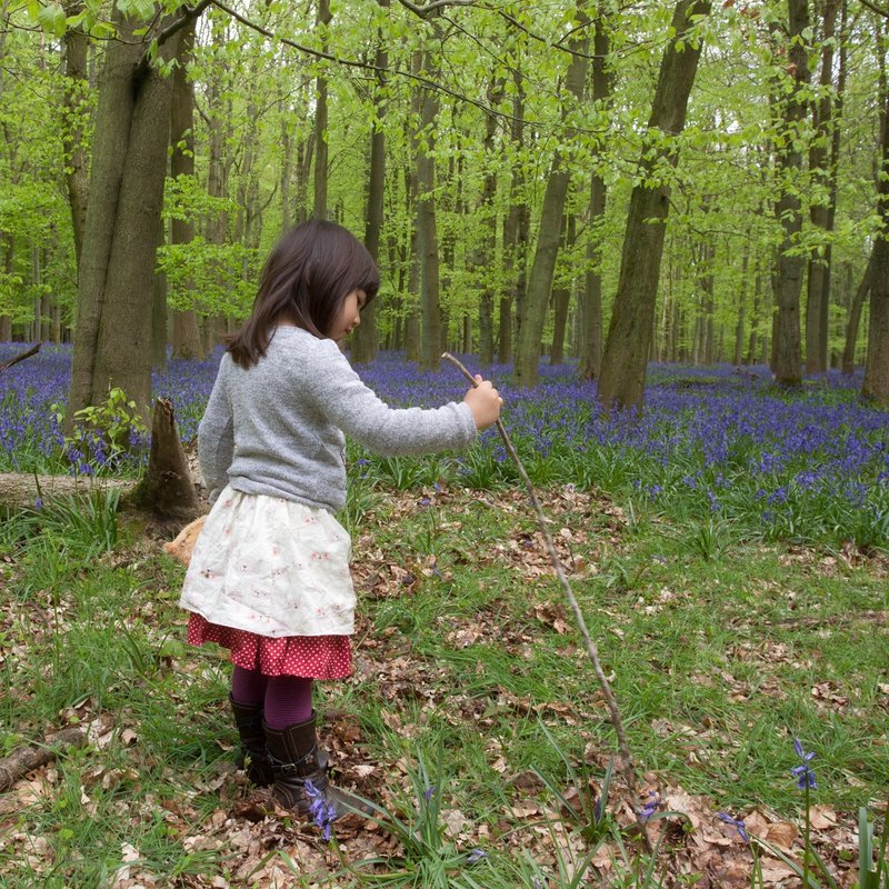 猫系列之笑脸猫短裙 - 其他 - 棉．麻 红色