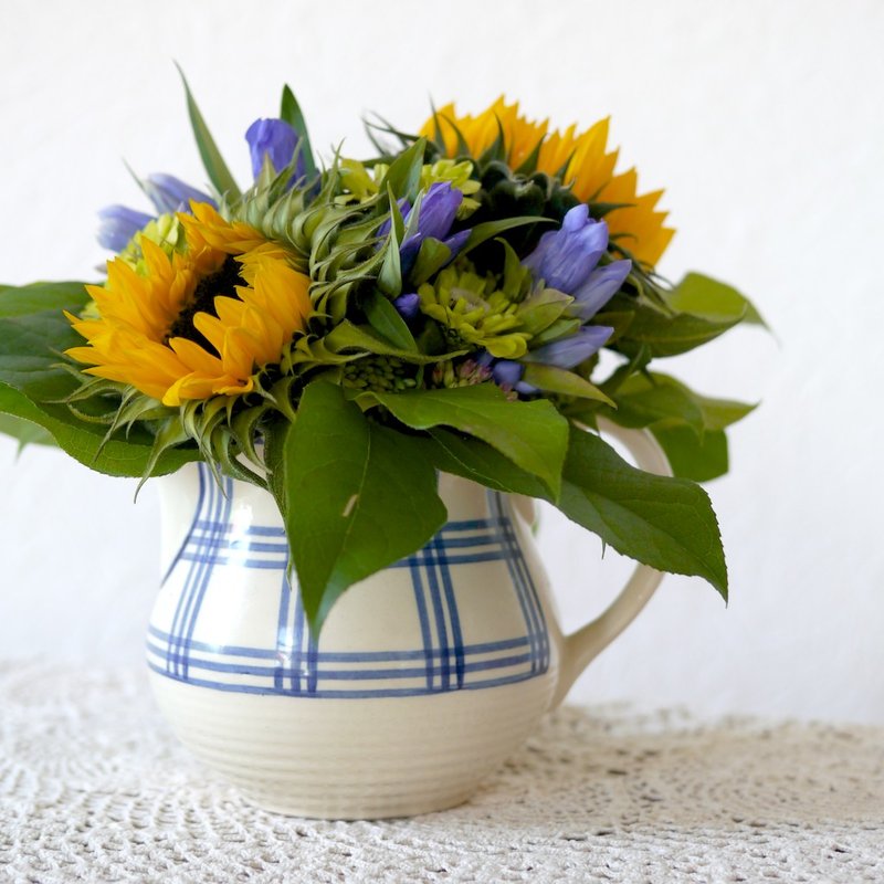 陶瓷水壶 - 其他 - 陶 