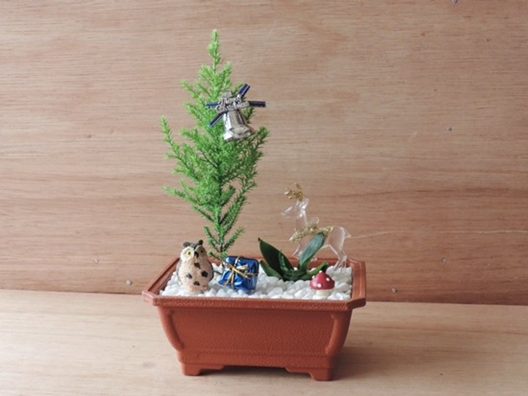 Xmas · 森林派对《圣诞限定》 - 植栽/盆栽 - 植物．花 