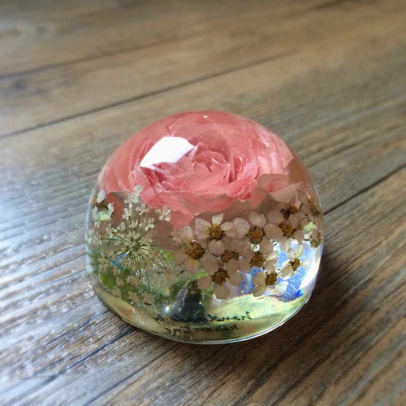 真花/立体干燥花/桌上小摆设/纸镇/半球摆设/玫瑰/礼物 - 摆饰 - 其他材质 