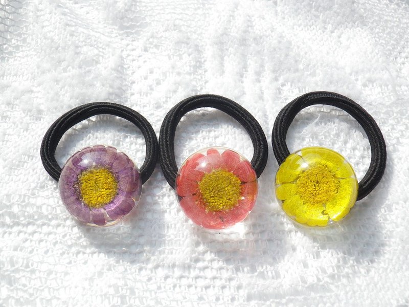 Anny's workshop手作押花饰品，押花发带饰品 (小巧可爱的白晶菊花发带) - 发饰 - 塑料 