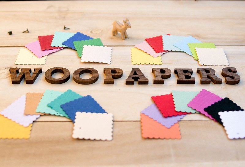 色彩种子纸 (56cm x 78cm) - 木工/竹艺/纸艺 - 纸 多色