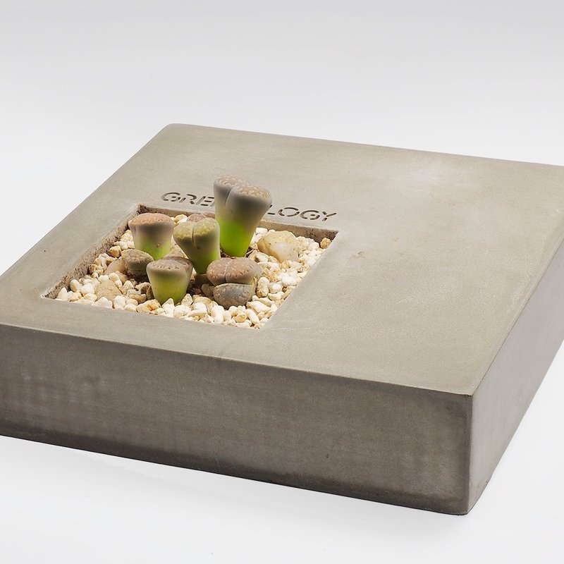 Greenology 水泥花器 - 植栽/盆栽 - 水泥 灰色