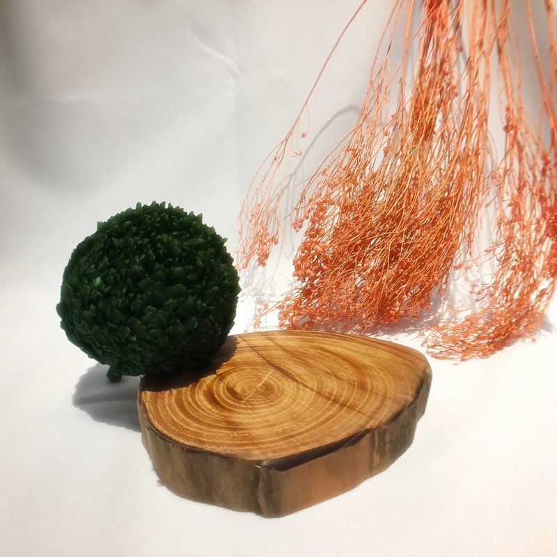 榉木杯垫 - 浅碟/小碟子 - 木头 金色