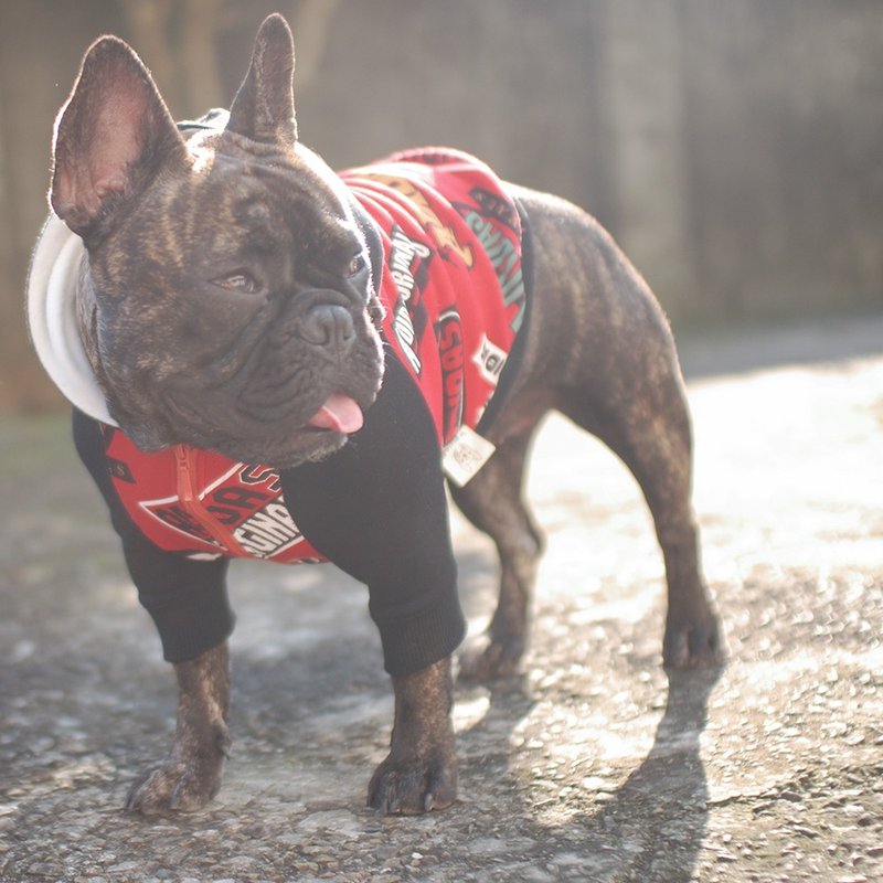 宠物手作服-美式超嘻哈连帽拉链外套 - 衣/帽 - 其他材质 红色