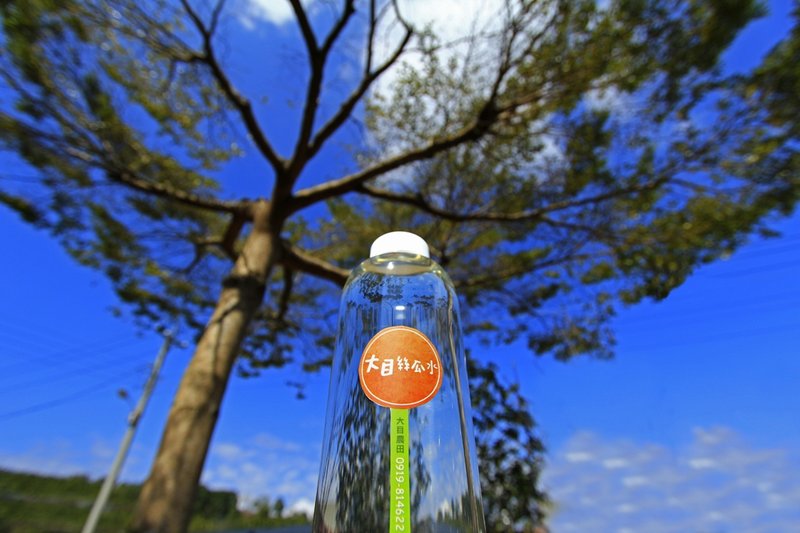 丝瓜水--补充组 [ 四组入 ] - 其他 - 植物．花 蓝色