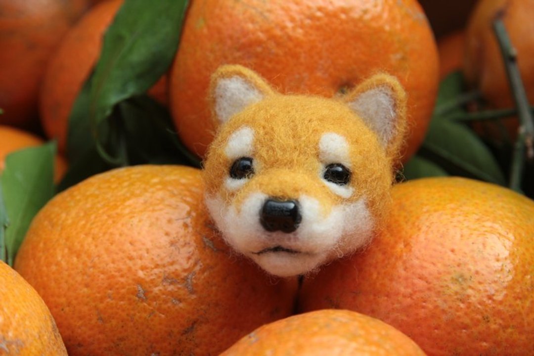 ~羊毛毡猛兽胸针系列~柴犬 - 胸针 - 羊毛 橘色