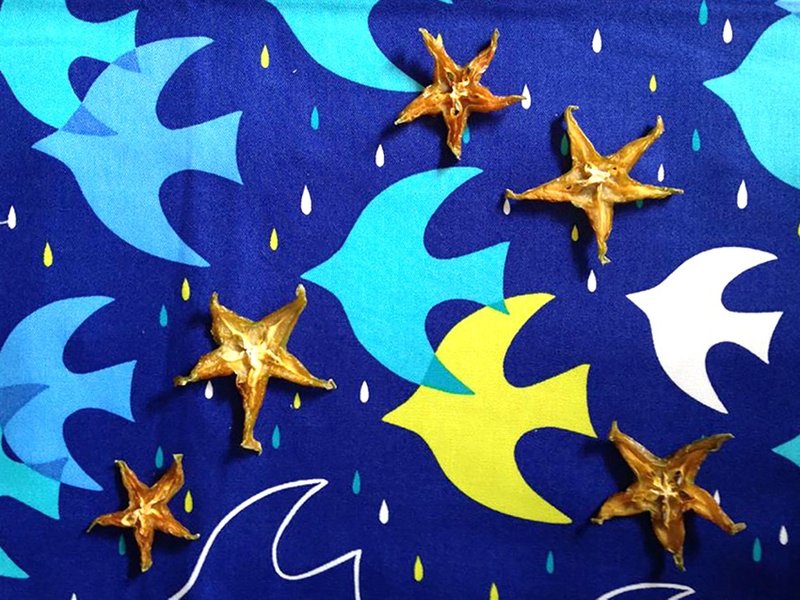 微田水气果干*恋爱习作(杨桃口味-季节限定) - 水果干 - 新鲜食材 黄色