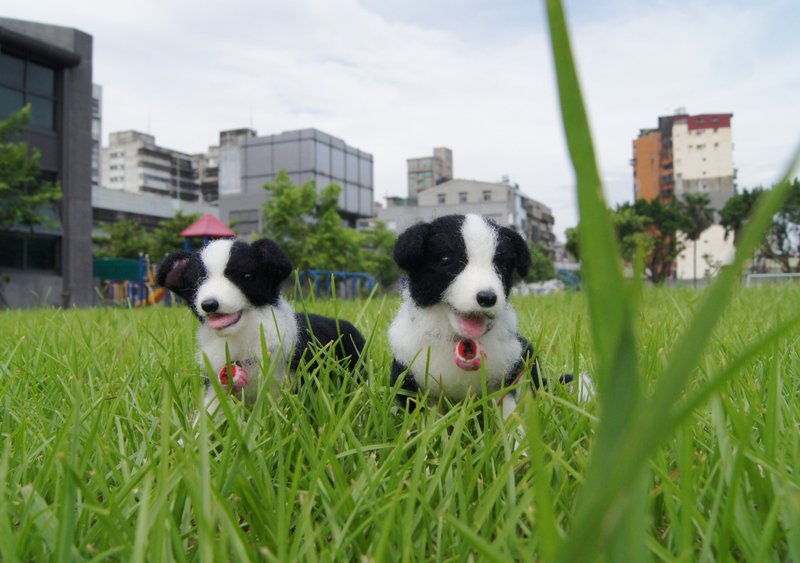 【羊乐多 X 羊毛毡】宠物复刻 边境牧羊犬 黑白款 宠物分身询问区~请勿下标 - 玩偶/公仔 - 羊毛 黑色