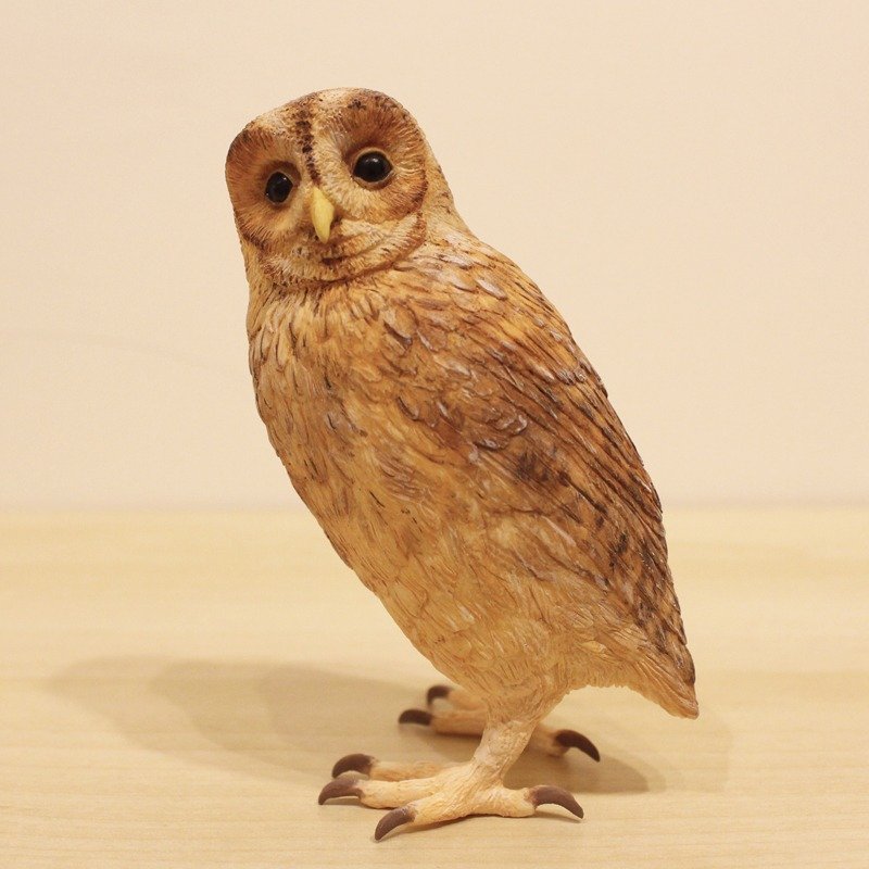鸟类 雕塑 - 猫头鹰 - 灰林鸮Strix aluco红褐色版 - 摆饰 - 塑料 咖啡色