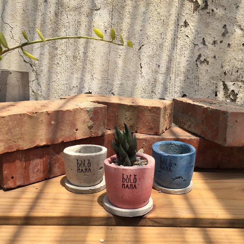 《天圆》墨玉鹰爪-多肉植物 水泥盆栽组(含底座) 交换礼物 - 植栽/盆栽 - 水泥 灰色