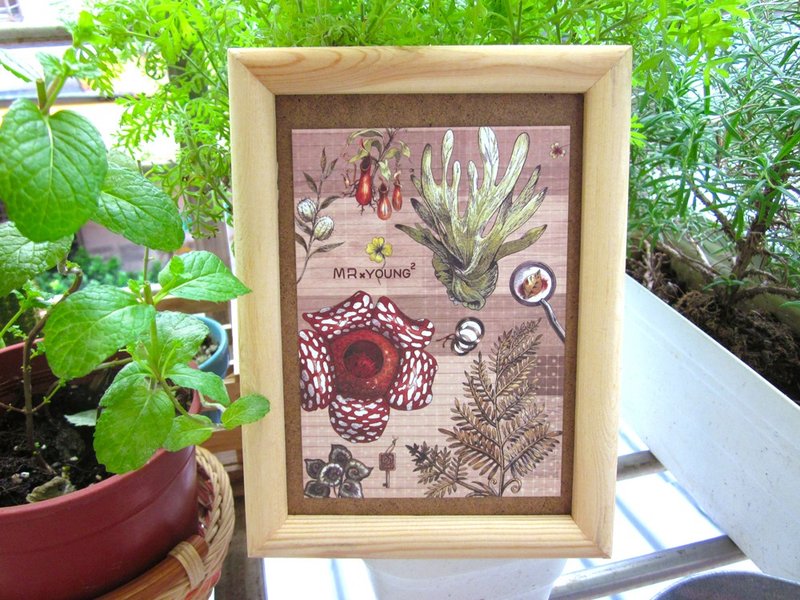 ☁明信片-植物学家 - 卡片/明信片 - 纸 咖啡色