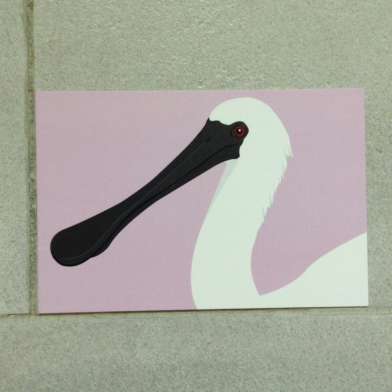 黑脸琵鹭明信片【款1单售】 - 卡片/明信片 - 纸 