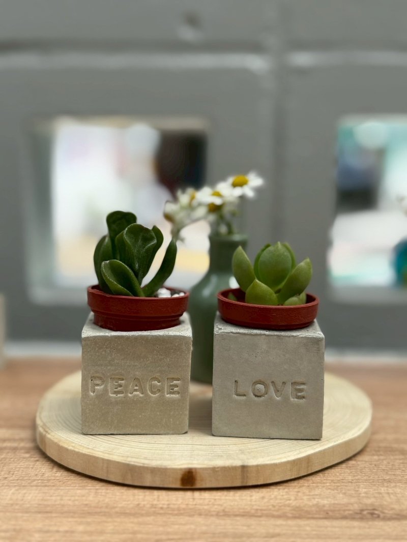 Love&Peace爱与和平//手作磁铁盆栽组 - 植栽/盆栽 - 水泥 灰色