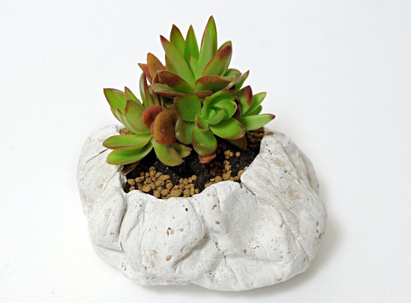 圭藻土水泥花器.花盆.盆栽 - 其他 - 水泥 