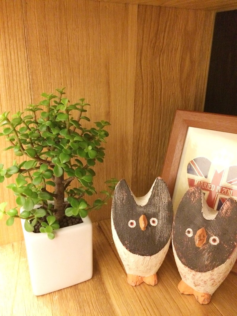(盆栽) 休日 Leave of Absence (多肉植物 疗愈 送礼 办公小物) - 植栽/盆栽 - 玻璃 绿色