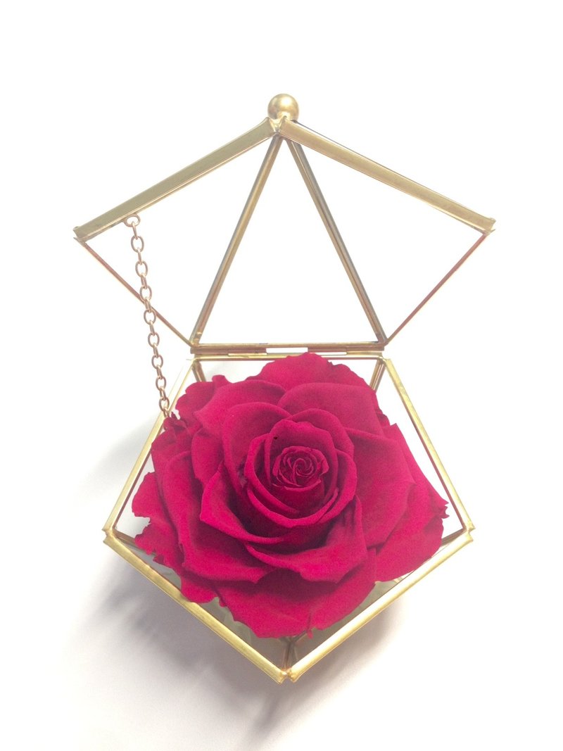 铜金色 五角形珠宝盒 不凋玫瑰花 - 干燥花/捧花 - 植物．花 多色