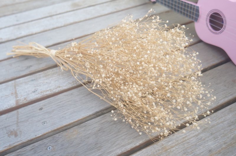 麋花Amor Floral - 纯洁的天使干燥满天心花 花束/ - 摆饰 - 植物．花 白色