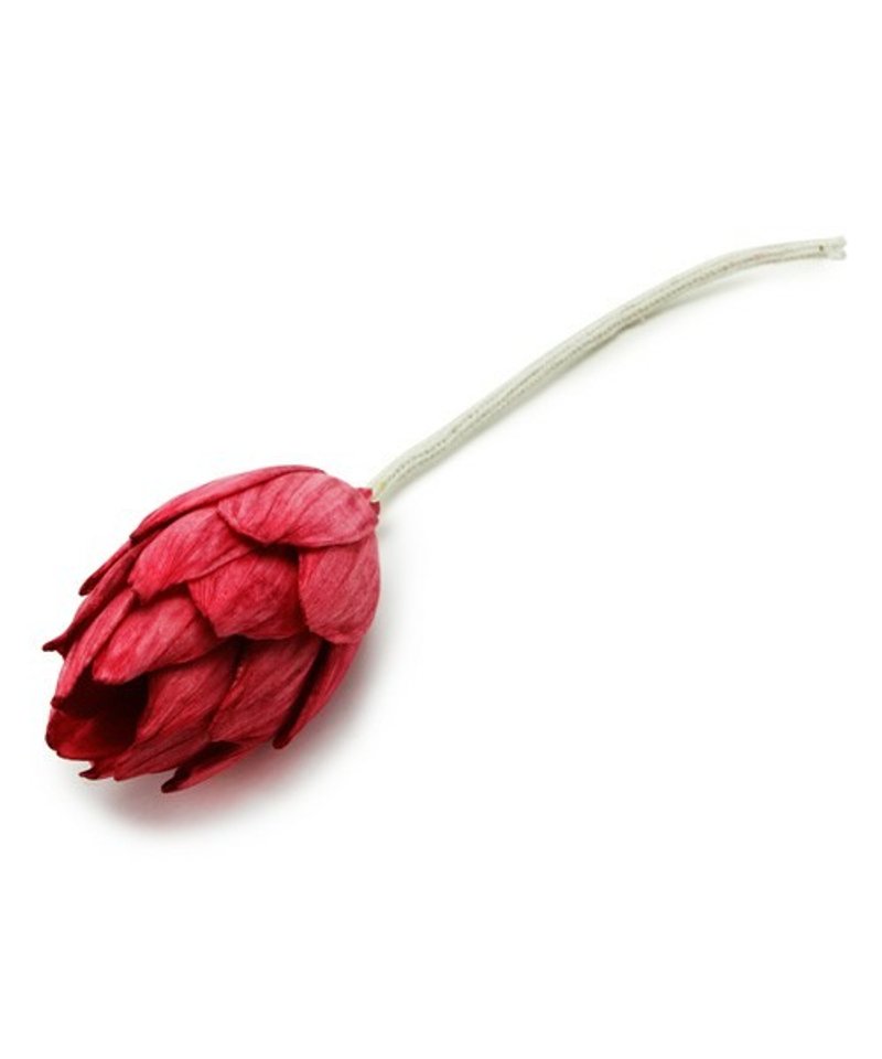 日本 GoodyGrams FIGMENT 香氛专用扩香花 - Protea 帝王花(粉红色) - 香薰/精油/线香 - 其他材质 红色