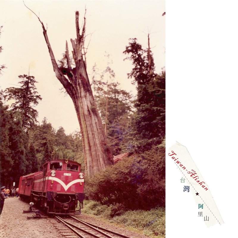 台湾摄影明信片 - 卡片/明信片 - 纸 