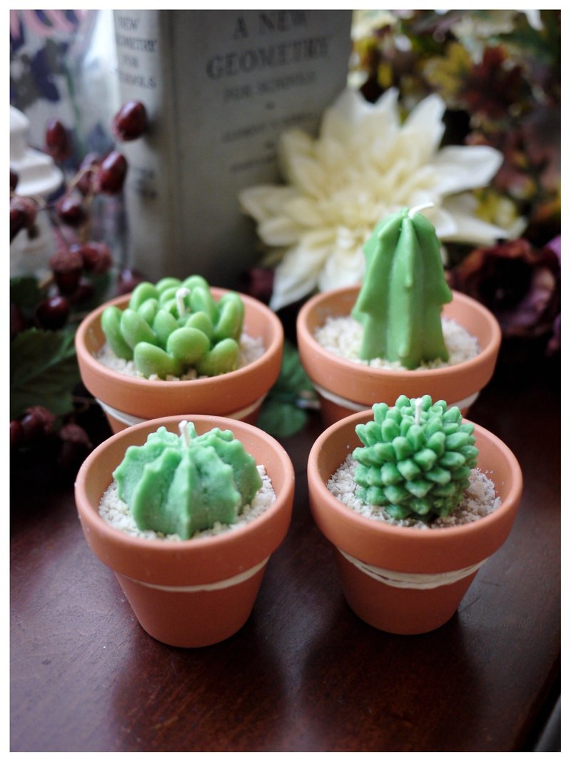 仙人掌 大豆蜡烛  多肉植物盆栽 ✣ 天然大豆x 纯精油 x 无烟害 - 植栽/盆栽 - 蜡 绿色