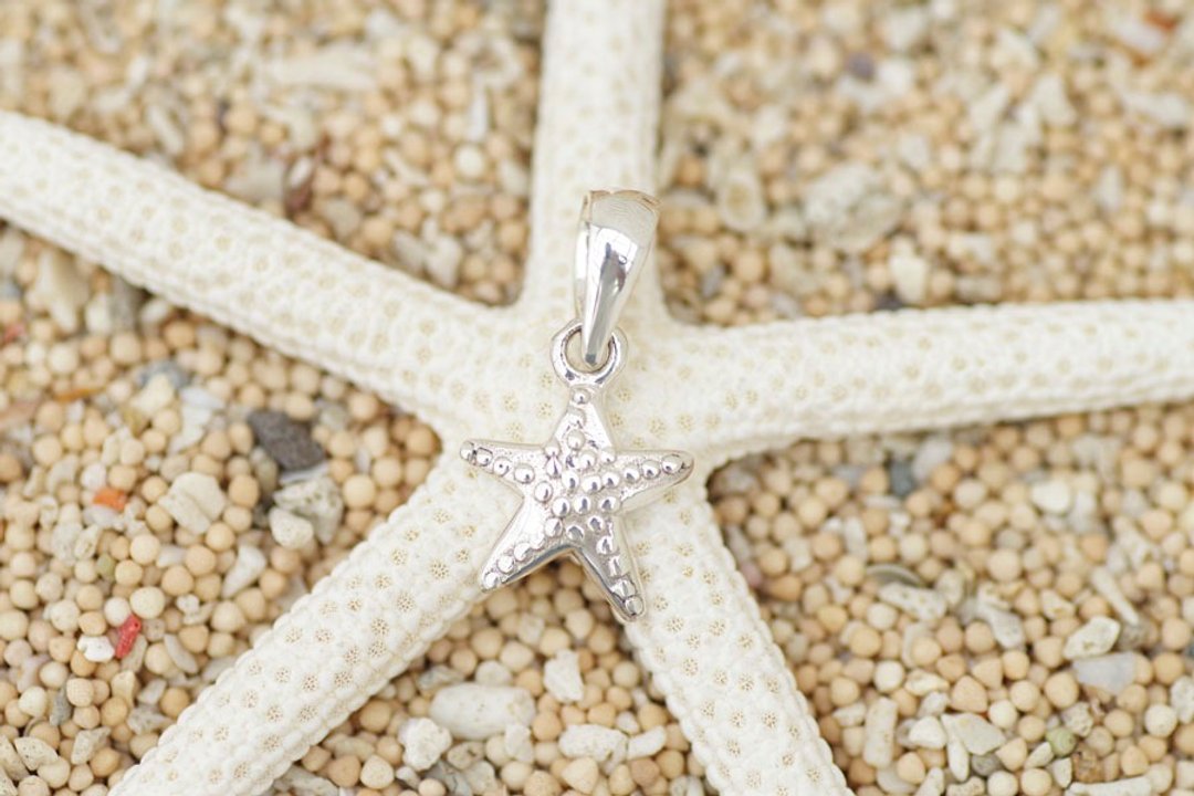 Starfish Silver pendant top - 项链 - 其他金属 灰色