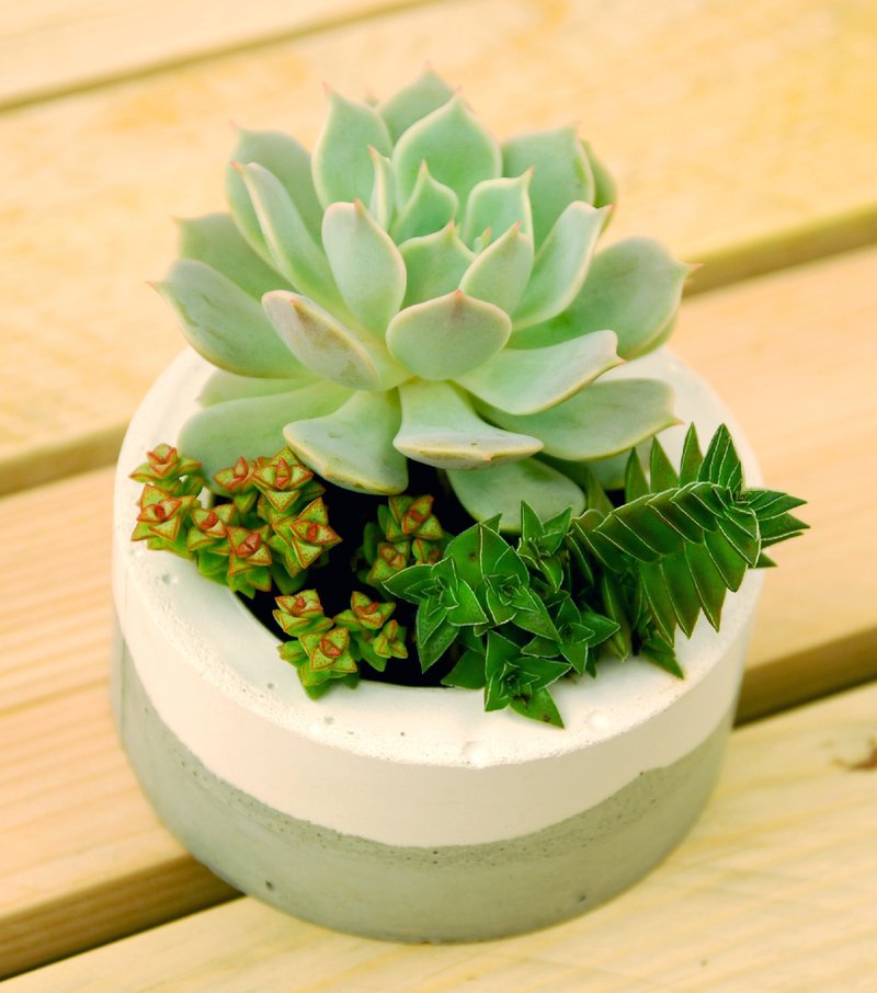 (绿标商品)雪泥双色花器 / 落雪 - 植栽/盆栽 - 其他材质 灰色