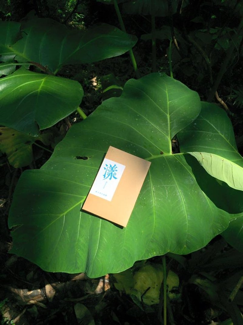 漾。羞玉净白面膜(2片装)       (黯沉肌) - 手足保养 - 其他材质 