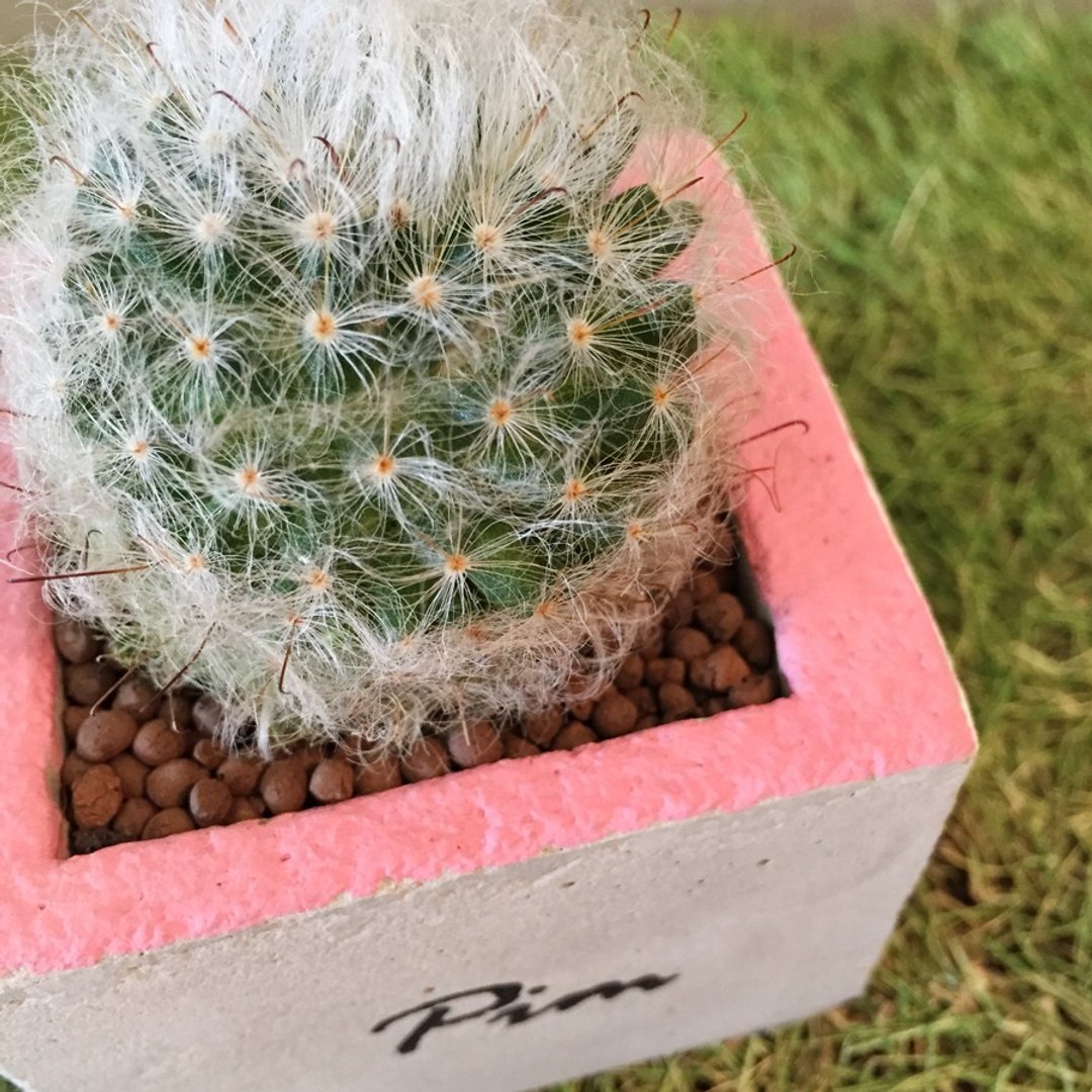 [动植物]几何色块柒号方盆[不含植] - 植栽/盆栽 - 其他材质 粉红色
