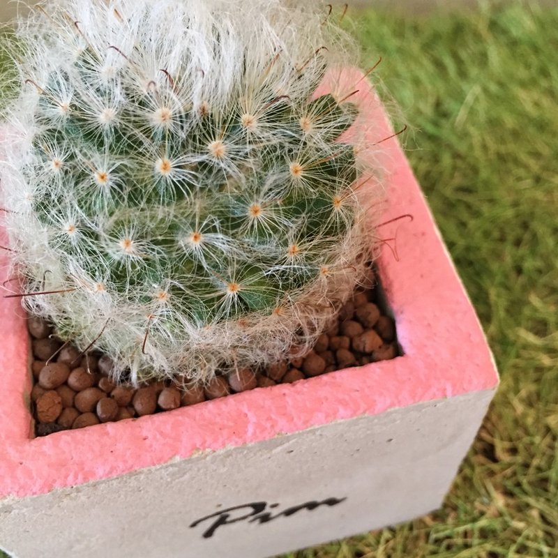 [动植物]几何色块柒号方盆[不含植] - 植栽/盆栽 - 其他材质 粉红色
