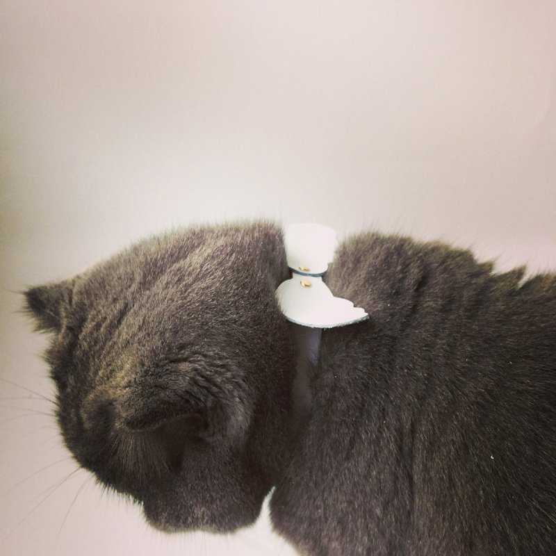 暖暖的时光 喵喵叫的天使 宠物项圈 毛孩礼物 - 项圈/牵绳 - 真皮 白色