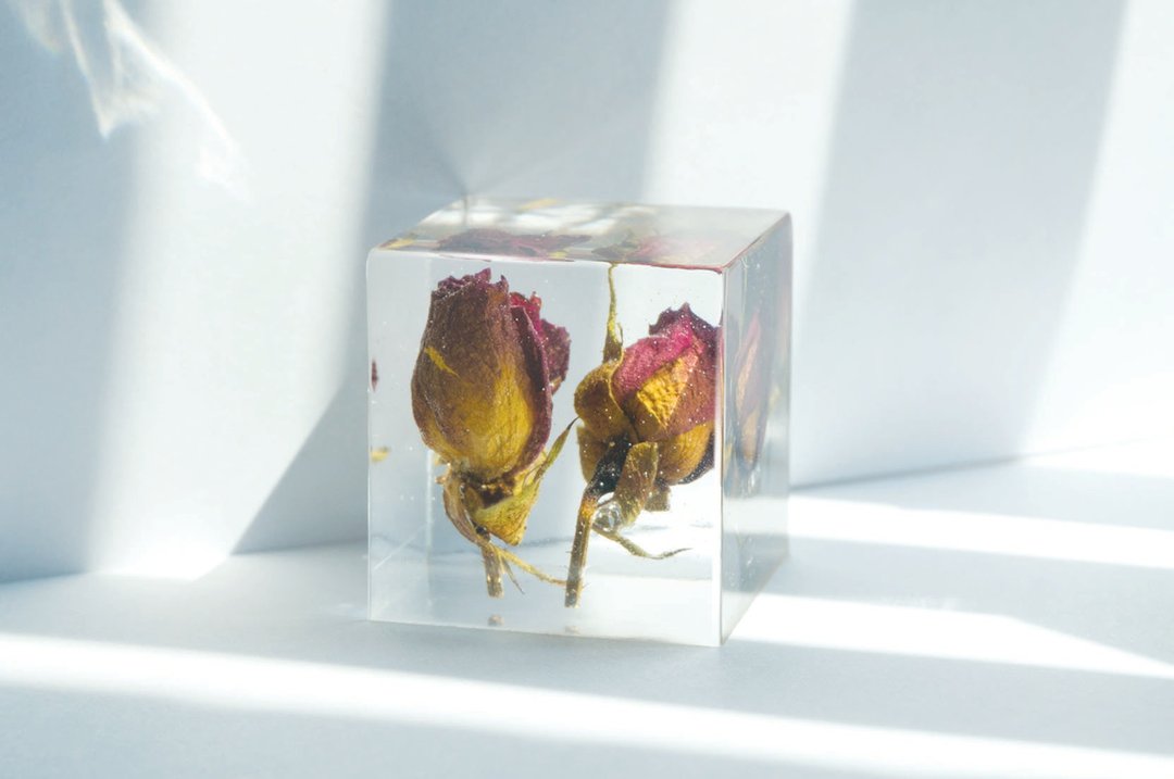 小红玫瑰花－立体方形干花摆设 - 植栽 - 植物．花 红色