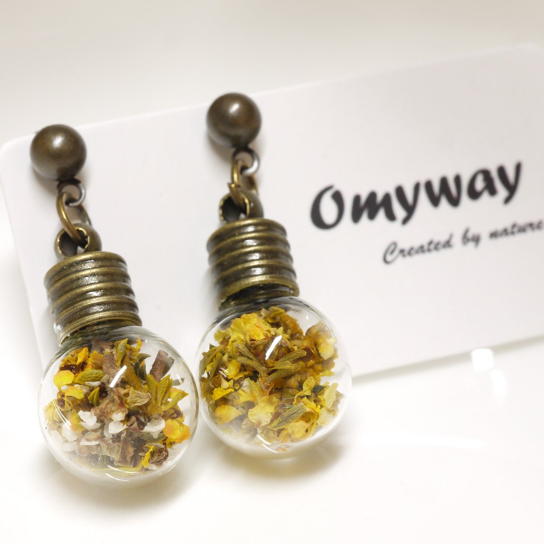 “爱家作-OMYWAY”DIY 手工制作 干花 钻石花 押花 灯泡 玻璃球 耳钉 耳环 - 耳环/耳夹 - 玻璃 白色