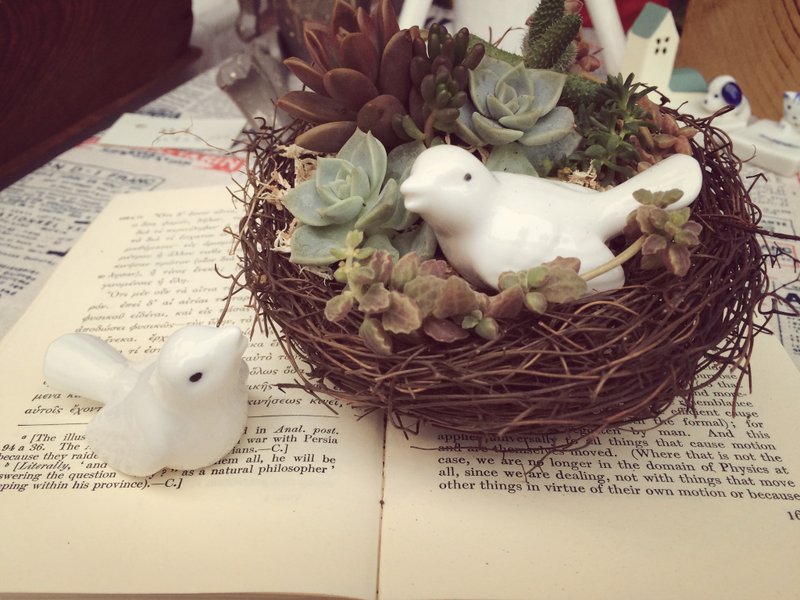 [盆栽] 归巢 Back to Home - 植栽/盆栽 - 其他材质 卡其色