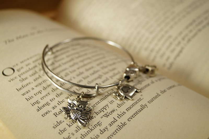 Lucky Animals 手环 (幸运动物) Bangle 手链 手环 不锈钢 定制化 - 手链/手环 - 不锈钢 银色