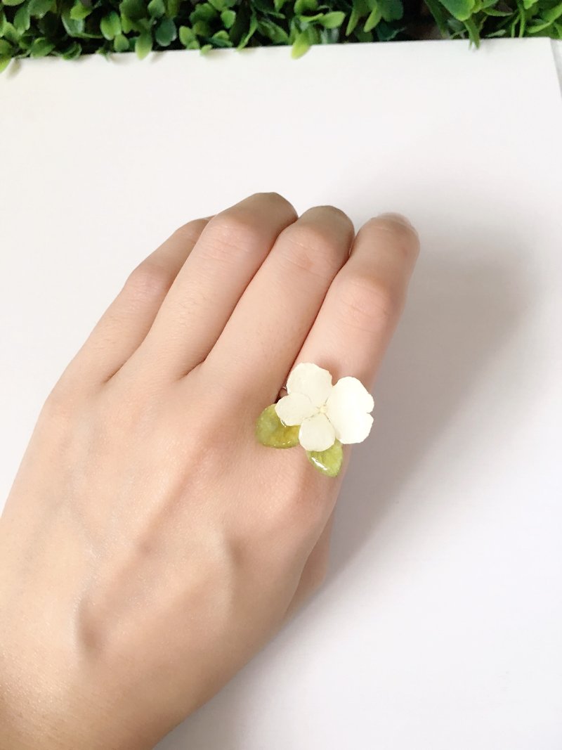 *Haku·Neko* 绿叶王 - 白色绣球花戒指 (真花系列) - 颈链 - 植物．花 白色
