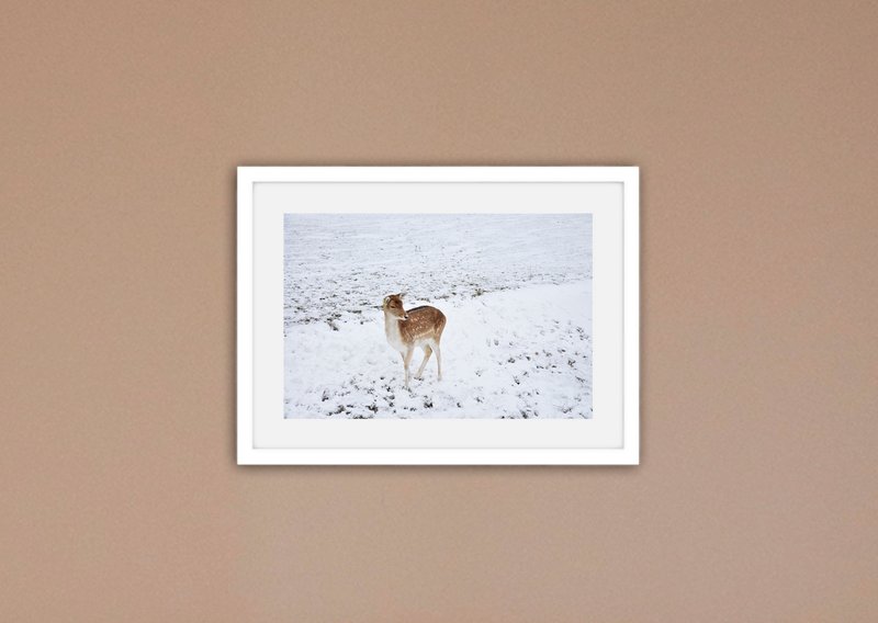“摄影”鹿 (含框贩售) - 海报/装饰画/版画 - 纸 白色