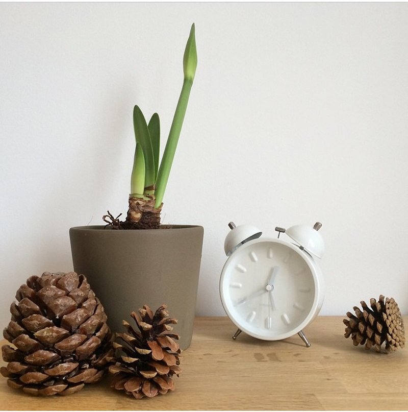 Karlsson, White Alarm clock Twin Bell Nude station(荷兰Karlsson设计师打铃闹钟) - 时钟/闹钟 - 其他金属 白色