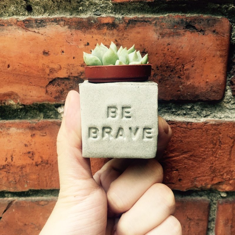 Be Brave~!! （勇敢面对）多肉磁铁盆栽 - 植栽/盆栽 - 水泥 灰色