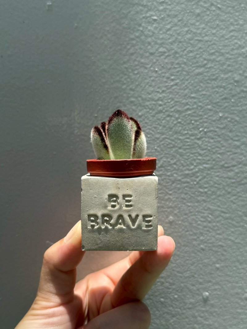 Be Brave~!! （勇敢面对）多肉磁铁盆栽 - 植栽/盆栽 - 水泥 灰色