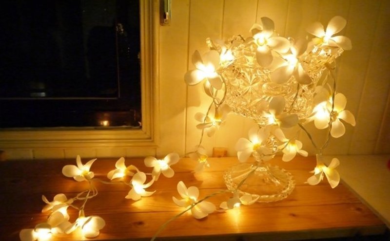 鸡蛋花灯串 - 灯具/灯饰 - 其他材质 