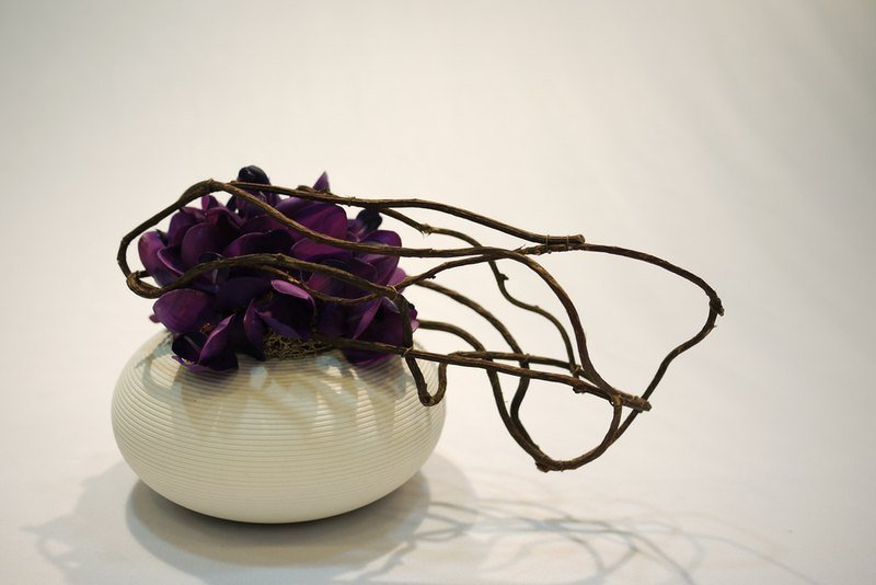 花艺中的贵族-S - 植栽/盆栽 - 其他材质 白色